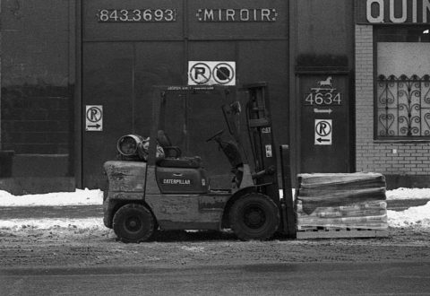 Priprava na pomlad – februar kot mesec načrtovanja